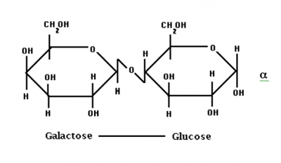 ساختار لاکتوز