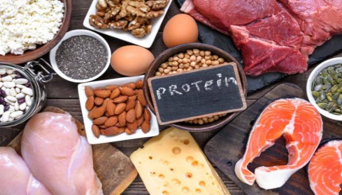 پروتئین های حیوانی و گیاهی